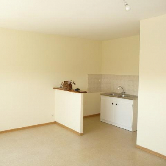  Immobilier des Deux Rives : Appartement | VILLAINES-LA-JUHEL (53700) | 44 m2 | 320 € 