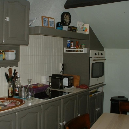  Immobilier des Deux Rives : House | SAINT-PIERRE-DES-NIDS (53370) | 321 m2 | 198 000 € 