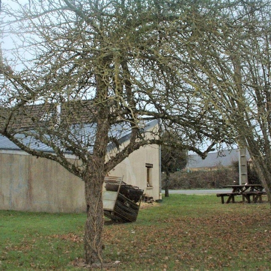  Immobilier des Deux Rives : Maison / Villa | GESVRES (53370) | 70 m2 | 64 000 € 