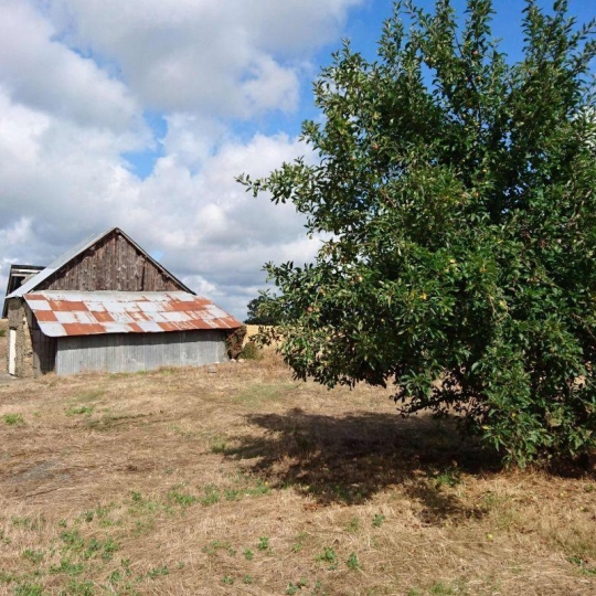  Immobilier des Deux Rives : Maison / Villa | THUBOEUF (53110) | 152 m2 | 228 800 € 