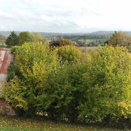  Immobilier des Deux Rives : House | CARROUGES (61320) | 110 m2 | 167 500 € 