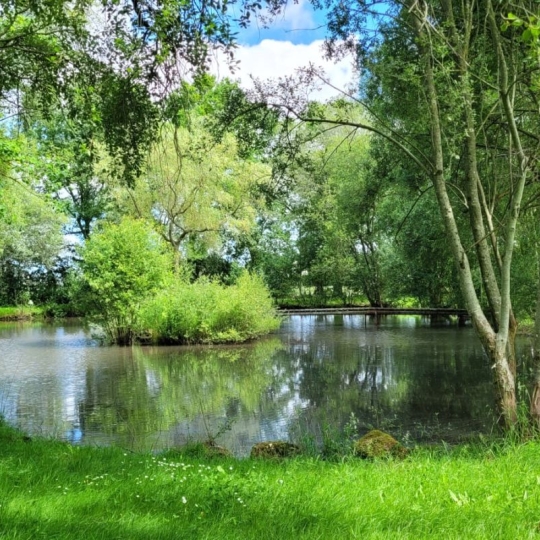  Immobilier des Deux Rives : Domaines / Propriétés | SAINT-FRAIMBAULT-DE-PRIERES (53300) | 184 m2 | 296 400 € 