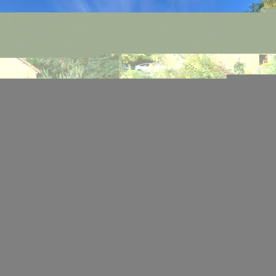 Immobilier des Deux Rives : Maison / Villa | BLEVES (72600) | 270.00m2 | 359 000 € 