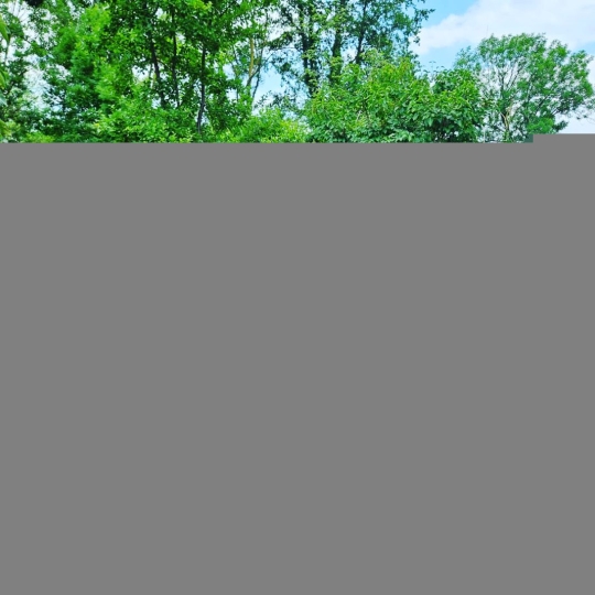  Immobilier des Deux Rives : Maison / Villa | BLEVES (72600) | 270 m2 | 359 000 € 