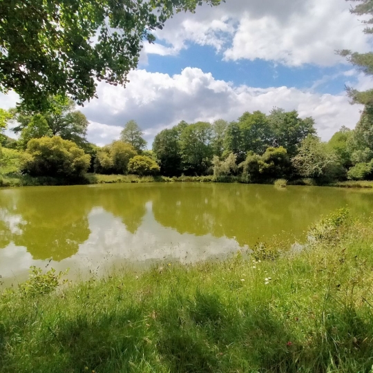 Immobilier des Deux Rives : Ground | VIMARTIN-SUR-ORTHE (53160) | 26.00m2 | 38 600 € 