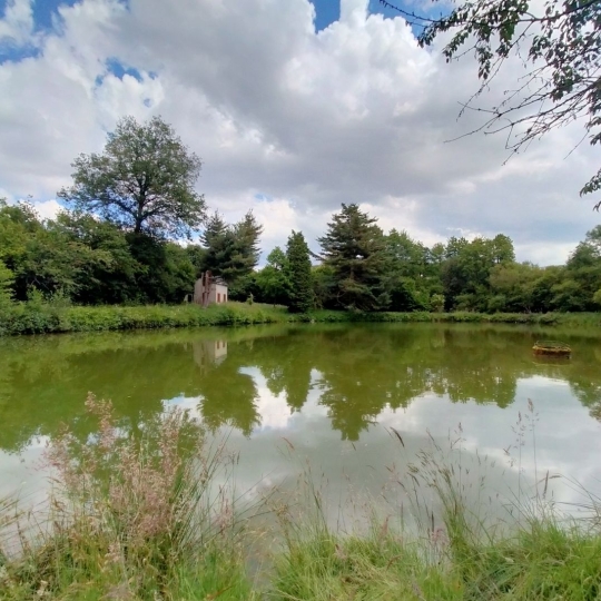  Immobilier des Deux Rives : Ground | VIMARTIN-SUR-ORTHE (53160) | 26 m2 | 38 600 € 