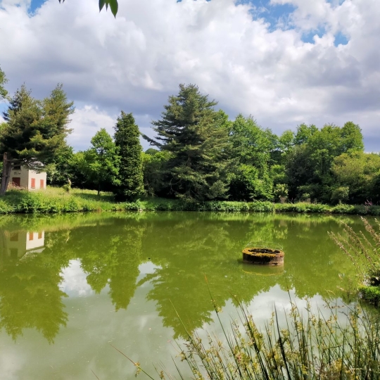  Immobilier des Deux Rives : Ground | VIMARTIN-SUR-ORTHE (53160) | 26 m2 | 38 600 € 