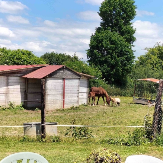  Immobilier des Deux Rives : Domaines / Propriétés | SAINTENY (50500) | 137 m2 | 280 800 € 