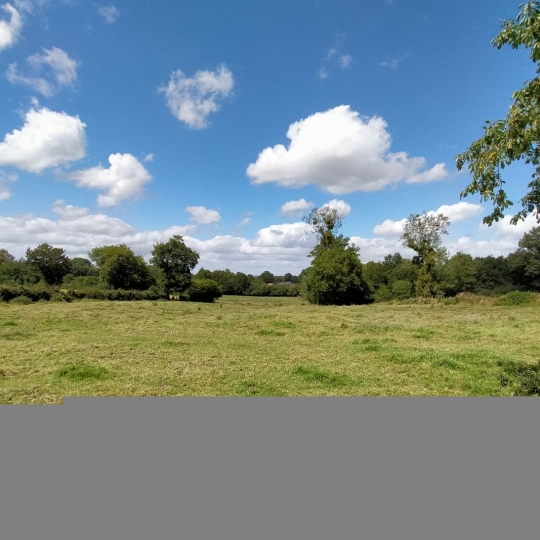  Immobilier des Deux Rives : Maison / Villa | JAVRON-LES-CHAPELLES (53250) | 75 m2 | 127 000 € 