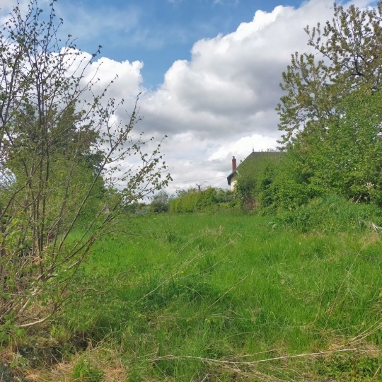  Immobilier des Deux Rives : Terrain | VILLAINES-LA-JUHEL (53700) | 0 m2 | 13 000 € 
