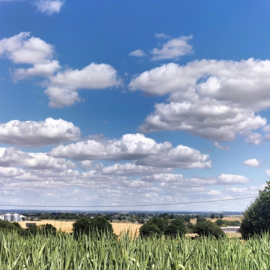  Immobilier des Deux Rives : House | SAINT-AUBIN-DU-DESERT (53700) | 42 m2 | 75 000 € 