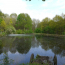  Immobilier des Deux Rives : Maison / Villa | MAYENNE (53100) | 44 m2 | 137 000 € 
