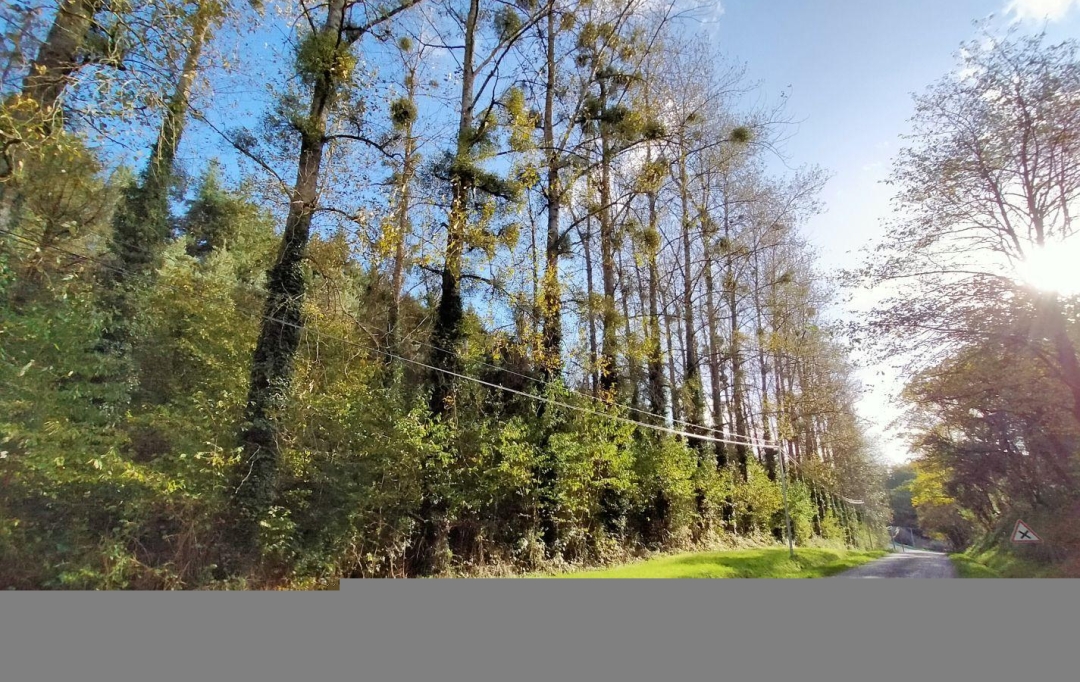 Immobilier des Deux Rives : Terrain | JAVRON-LES-CHAPELLES (53250) | 0 m2 | 33 000 € 