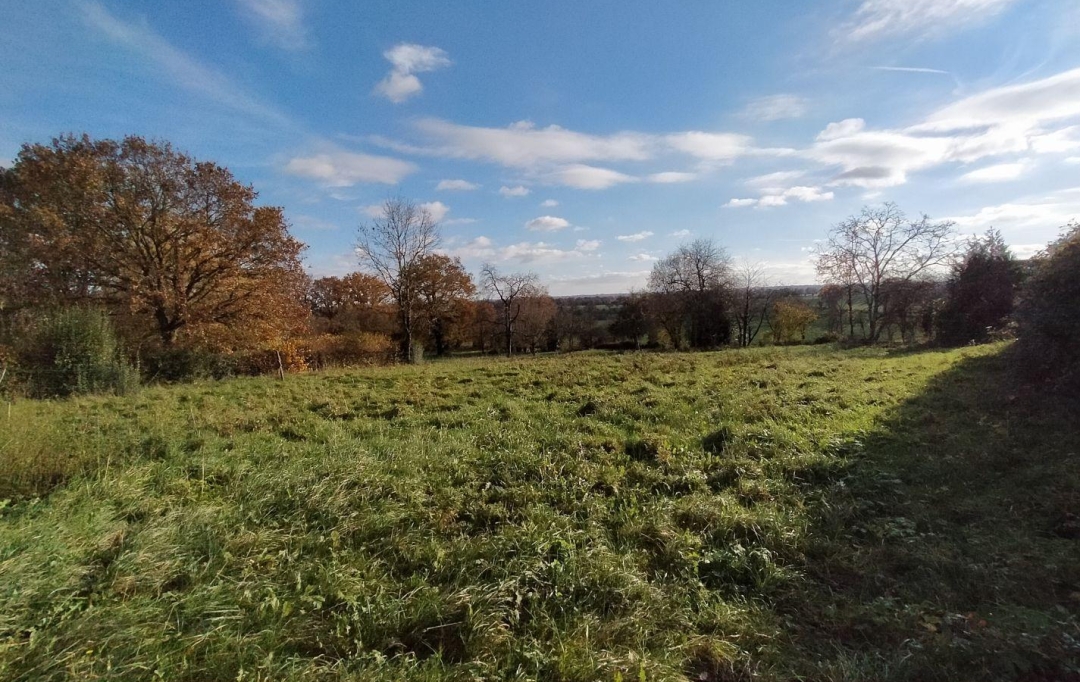 Immobilier des Deux Rives : Maison / Villa | LOUPFOUGERES (53700) | 120 m2 | 142 000 € 