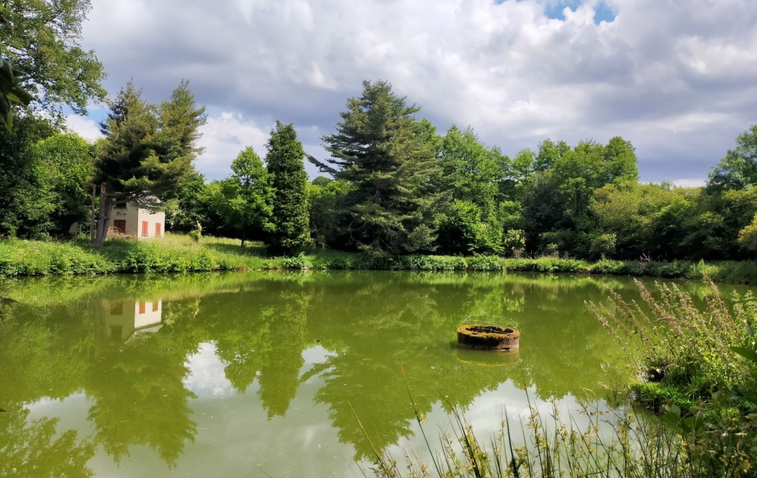Immobilier des Deux Rives : Ground | VIMARTIN-SUR-ORTHE (53160) | 26 m2 | 38 600 € 