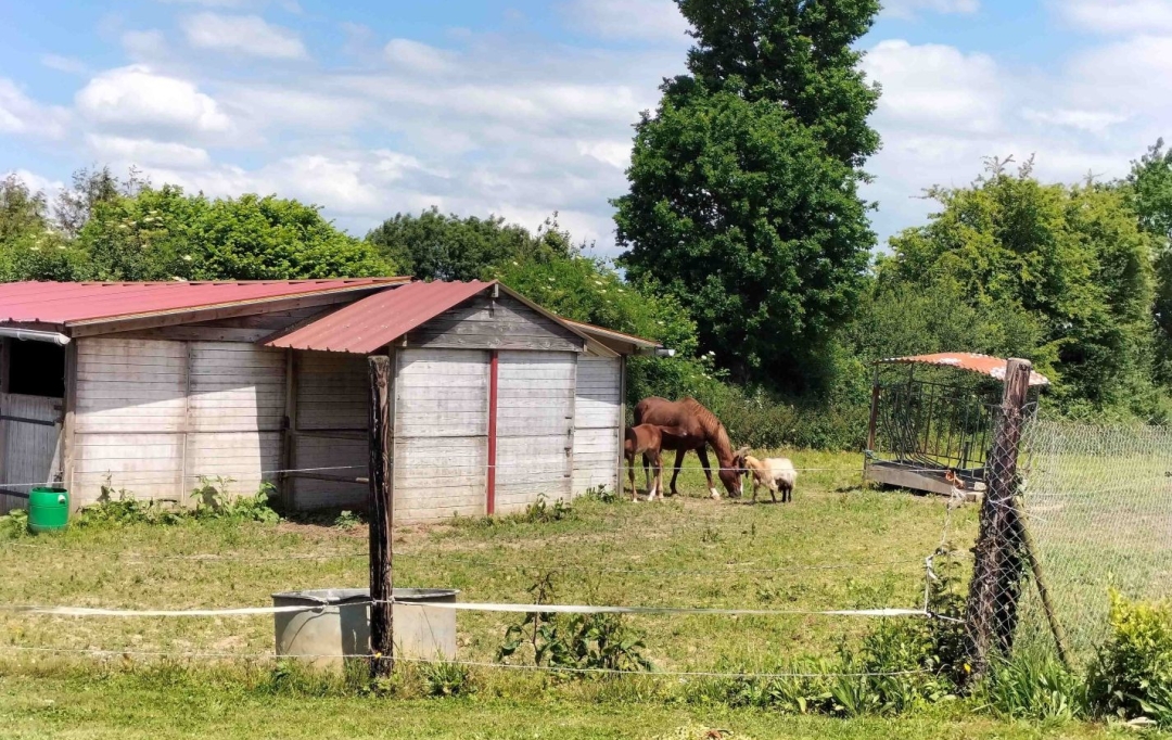 Immobilier des Deux Rives : Domaines / Propriétés | SAINTENY (50500) | 137 m2 | 280 800 € 