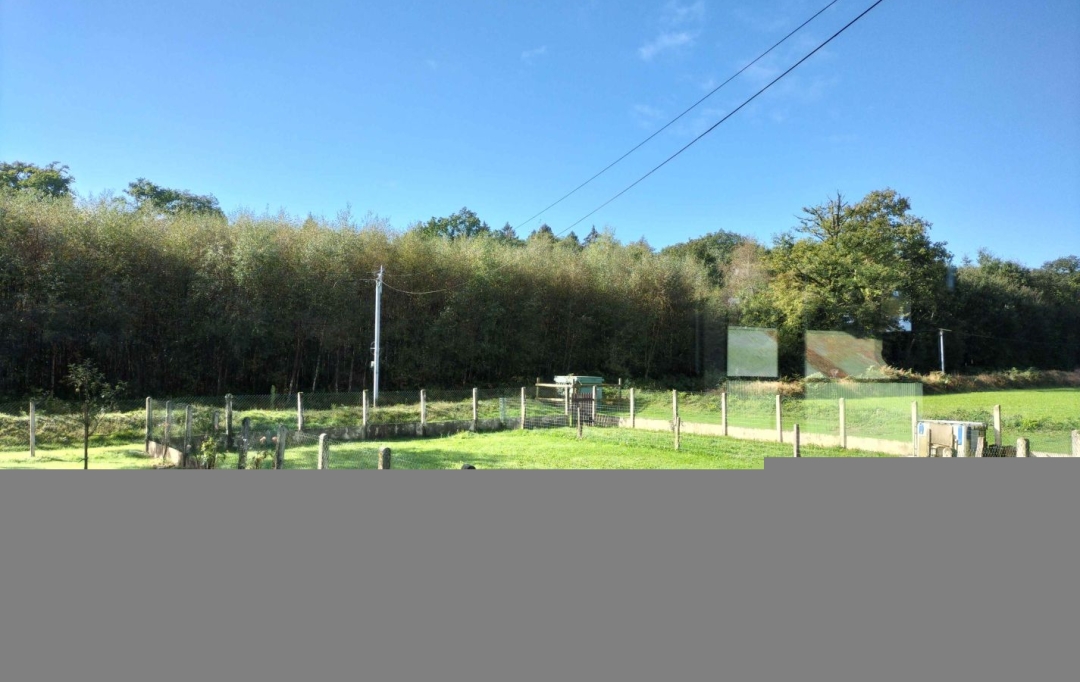 Immobilier des Deux Rives : House | LIGNIERES-ORGERES (53140) | 132 m2 | 137 500 € 