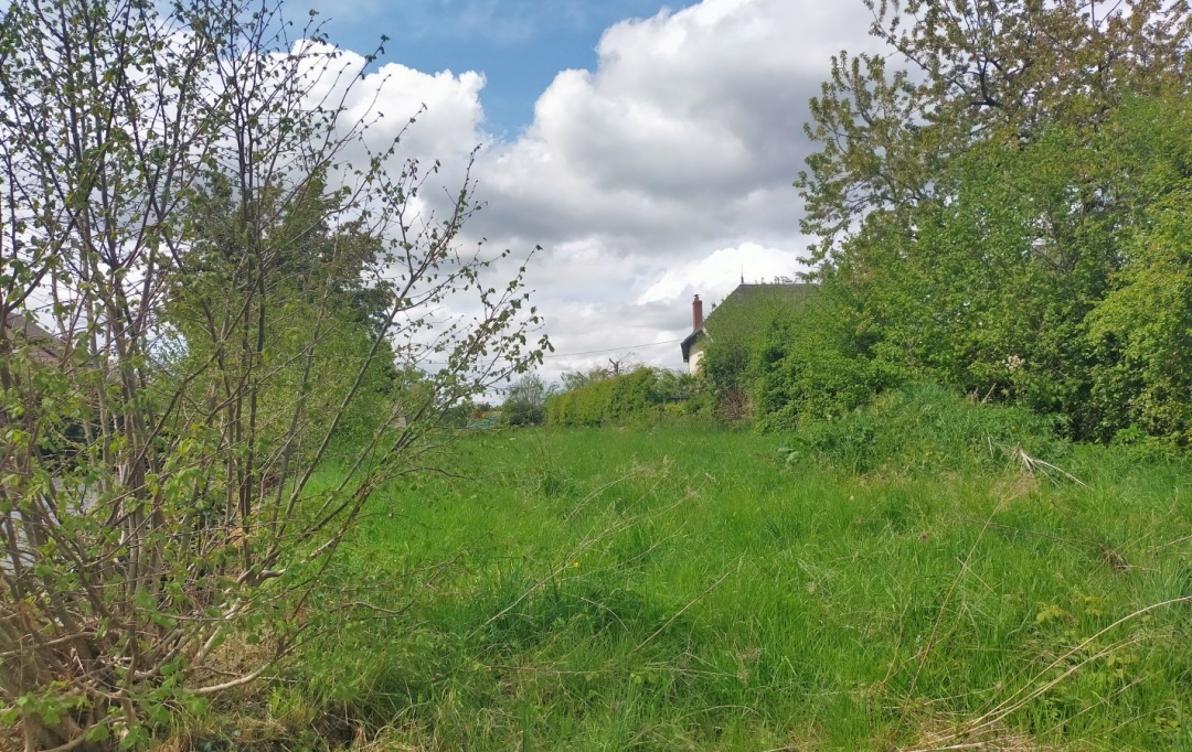 Immobilier des Deux Rives : Terrain | VILLAINES-LA-JUHEL (53700) | 0 m2 | 13 000 € 