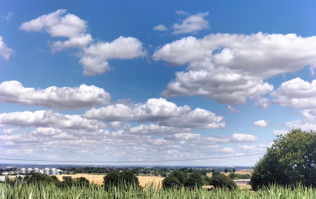 Immobilier des Deux Rives : House | SAINT-AUBIN-DU-DESERT (53700) | 42 m2 | 75 000 € 