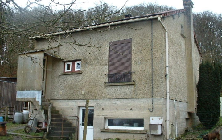 Immobilier des Deux Rives : Maison / Villa | MARMOUILLE (61240) | 51 m2 | 65 000 € 