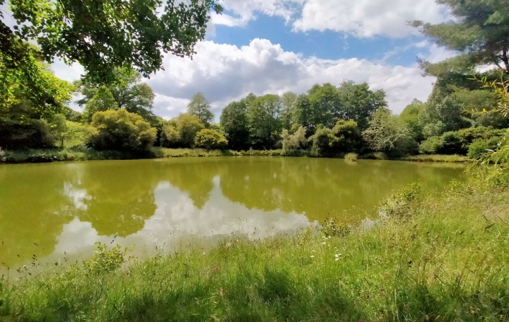Terrain VIMARTIN-SUR-ORTHE 26 m2 38 600 € Terrain VIMARTIN-SUR-ORTHE 26 m2 38 600 €