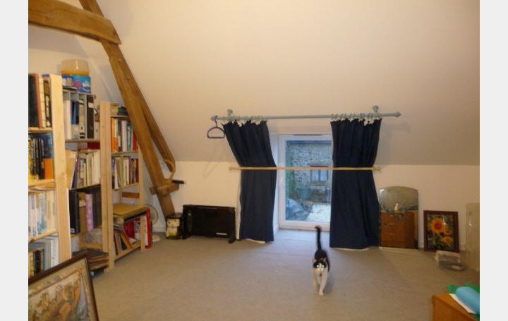 Immobilier des Deux Rives : Maison / Villa | LE HAM (53250) | 90 m2 | 54 800 € 